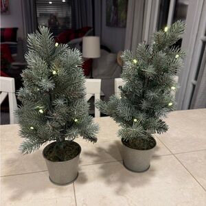 NWT Pottery Barn LED Lighted Mini Christmas Tree Set